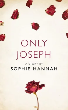 Sophie Hannah Only Joseph: A Story from the collection, I Am Heathcliff обложка книги