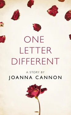 Joanna Cannon One Letter Different: A Story from the collection, I Am Heathcliff обложка книги