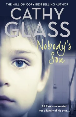 Cathy Glass Nobody’s Son: All Alex ever wanted was a family of his own обложка книги