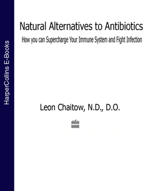 Leon Chaitow Natural Alternatives to Antibiotics: How you can Supercharge Your Immune System and Fight Infection обложка книги