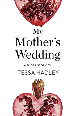 Tessa Hadley My Mother’s Wedding: A Short Story from the collection, Reader, I Married Him обложка книги