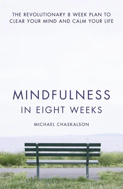 Michael Chaskalson Mindfulness in Eight Weeks: The revolutionary 8 week plan to clear your mind and calm your life обложка книги