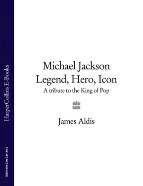 James Aldis Michael Jackson – Legend, Hero, Icon: A Tribute to the King of Pop обложка книги