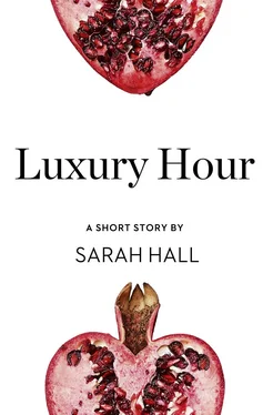 Sarah Hall Luxury Hour: A Short Story from the collection, Reader, I Married Him обложка книги