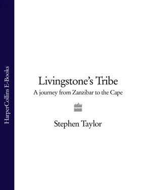 Stephen Taylor Livingstone’s Tribe: A Journey From Zanzibar to the Cape обложка книги