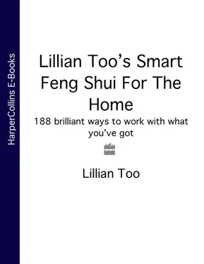 Lillian Too Lillian Too’s Smart Feng Shui For The Home: 188 brilliant ways to work with what you’ve got