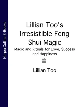 Lillian Too Lillian Too’s Irresistible Feng Shui Magic: Magic and Rituals for Love, Success and Happiness