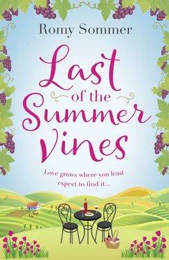 Romy Sommer Last of the Summer Vines: Escape to Italy with this heartwarming, feel good summer read! обложка книги