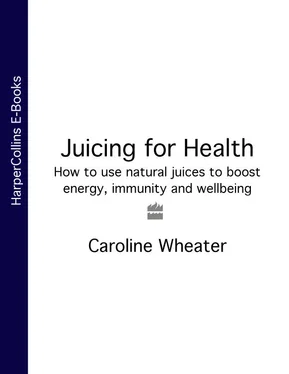 Caroline Wheater Juicing for Health: How to use natural juices to boost energy, immunity and wellbeing обложка книги