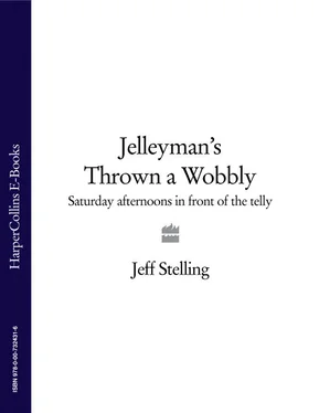 Jeff Stelling Jelleyman’s Thrown a Wobbly: Saturday Afternoons in Front of the Telly обложка книги