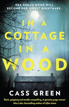 Cass Green In a Cottage In a Wood: The gripping new psychological thriller from the bestselling author of The Woman Next Door обложка книги