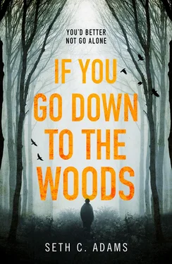 Seth Adams If You Go Down to the Woods: The most powerful and emotional debut thriller of 2018! обложка книги
