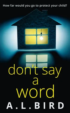 A. Bird Don’t Say a Word: A gripping psychological thriller from the author of The Good Mother обложка книги