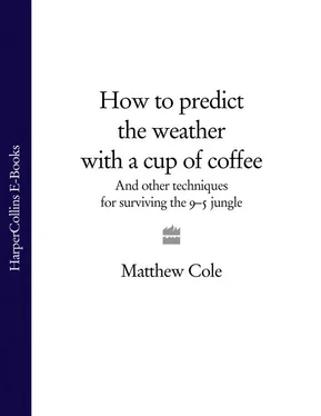 Matthew Cole How to predict the weather with a cup of coffee: And other techniques for surviving the 9–5 jungle обложка книги