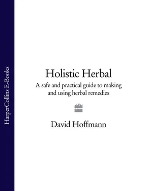 David Hoffmann Holistic Herbal: A Safe and Practical Guide to Making and Using Herbal Remedies обложка книги