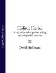 David Hoffmann - Holistic Herbal - A Safe and Practical Guide to Making and Using Herbal Remedies