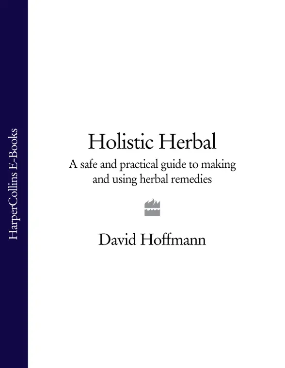 HOLISTIC HERBAL A Safe and Practical Guide to Making and Using Herbal Remedies - фото 1