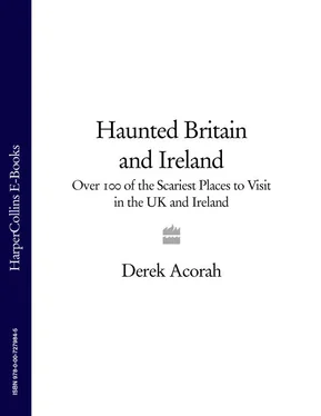 Derek Acorah Haunted Britain and Ireland: Over 100 of the Scariest Places to Visit in the UK and Ireland обложка книги