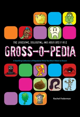 Rachel Federman Grossopedia: A Startling Collection of Repulsive Trivia You Won’t Want to Know! обложка книги