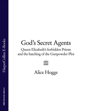 Alice Hogge God’s Secret Agents: Queen Elizabeth's Forbidden Priests and the Hatching of the Gunpowder Plot обложка книги