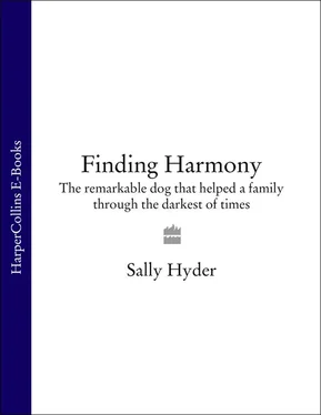 Sally Hyder Finding Harmony: The remarkable dog that helped a family through the darkest of times обложка книги