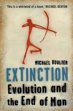 Michael Boulter Extinction: Evolution and the End of Man