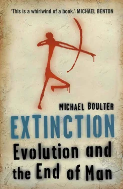 Michael Boulter Extinction: Evolution and the End of Man обложка книги