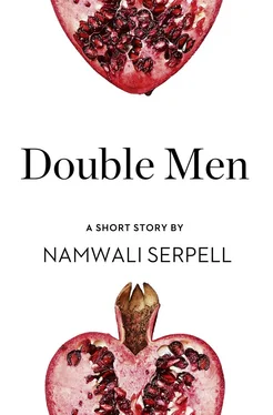 Namwali Serpell Double Men: A Short Story from the collection, Reader, I Married Him обложка книги