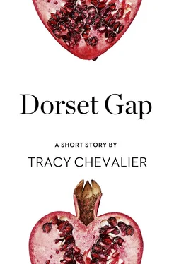 Tracy Chevalier Dorset Gap: A Short Story from the collection, Reader, I Married Him обложка книги