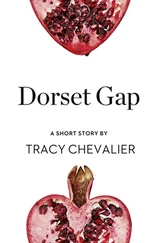Tracy Chevalier - Dorset Gap - A Short Story from the collection, Reader, I Married Him