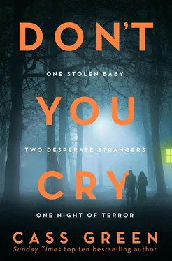 Cass Green Don’t You Cry: The gripping new psychological thriller from the bestselling author of In a Cottage in a Wood обложка книги
