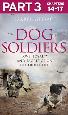 Isabel George Dog Soldiers: Part 3 of 3: Love, loyalty and sacrifice on the front line обложка книги