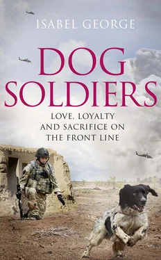 Isabel George Dog Soldiers: Love, loyalty and sacrifice on the front line обложка книги