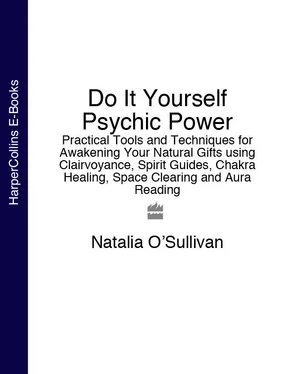 Natalia O’Sullivan Do It Yourself Psychic Power: Practical Tools and Techniques for Awakening Your Natural Gifts using Clairvoyance, Spirit Guides, Chakra Healing, Space Clearing and Aura Reading обложка книги
