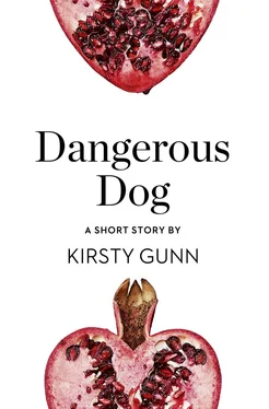 Kirsty Gunn Dangerous Dog: A Short Story from the collection, Reader, I Married Him обложка книги
