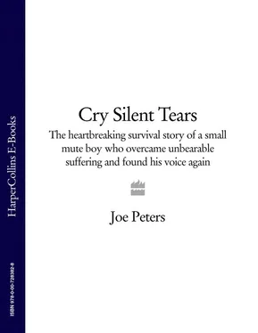 Joe Peters Cry Silent Tears: The heartbreaking survival story of a small mute boy who overcame unbearable suffering and found his voice again обложка книги