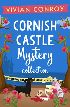 Vivian Conroy Cornish Castle Mystery Collection: Tales of murder and mystery from Cornwall обложка книги
