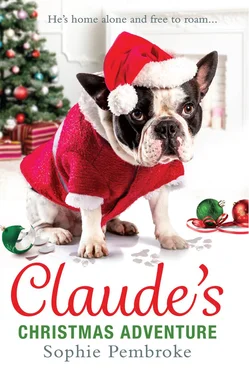 Sophie Pembroke Claude’s Christmas Adventure: The must-read Christmas dog book of 2018! обложка книги