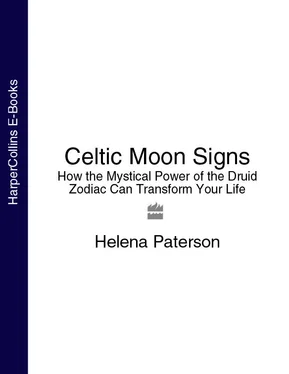 Helena Paterson Celtic Moon Signs: How the Mystical Power of the Druid Zodiac Can Transform Your Life обложка книги