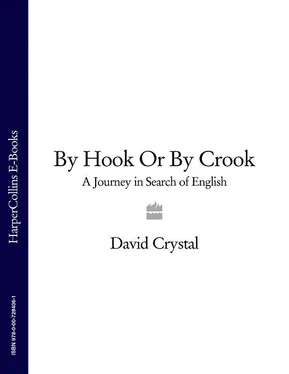 David Crystal By Hook Or By Crook: A Journey in Search of English обложка книги