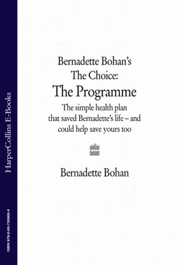 Bernadette Bohan Bernadette Bohan’s The Choice: The Programme: The simple health plan that saved Bernadette’s life – and could help save yours too обложка книги