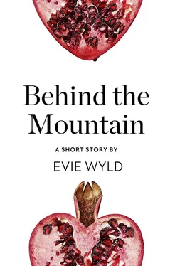 Evie Wyld Behind the Mountain: A Short Story from the collection, Reader, I Married Him обложка книги