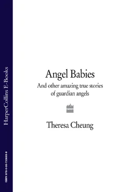 Theresa Cheung Angel Babies: And Other Amazing True Stories of Guardian Angels обложка книги