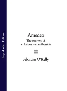 Sebastian O’Kelly Amedeo: The True Story of an Italian’s War in Abyssinia обложка книги