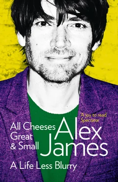 Alex James All Cheeses Great and Small: A Life Less Blurry обложка книги