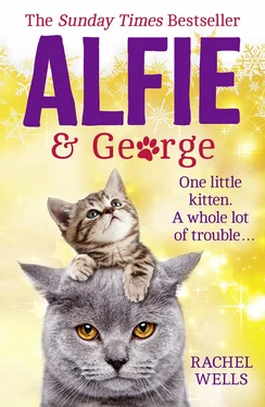 Rachel Wells Alfie and George: A heart-warming tale about how one cat and his kitten brought a street together обложка книги