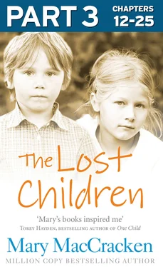 Mary MacCracken The Lost Children: Part 3 of 3 обложка книги