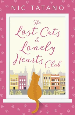 Nic Tatano The Lost Cats and Lonely Hearts Club: A heartwarming, laugh-out-loud romantic comedy - not just for cat lovers! обложка книги