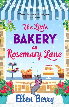 Ellen Berry The Little Bakery on Rosemary Lane: The best feel-good romance to curl up with in 2018