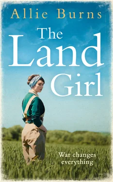 Allie Burns The Land Girl: An unforgettable historical novel of love and hope обложка книги